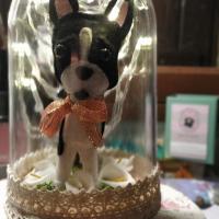 Cloche Boston Led